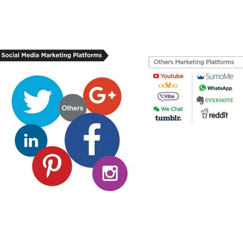 Các kênh bạn có thể sử dụng trong Social Media Marketing
