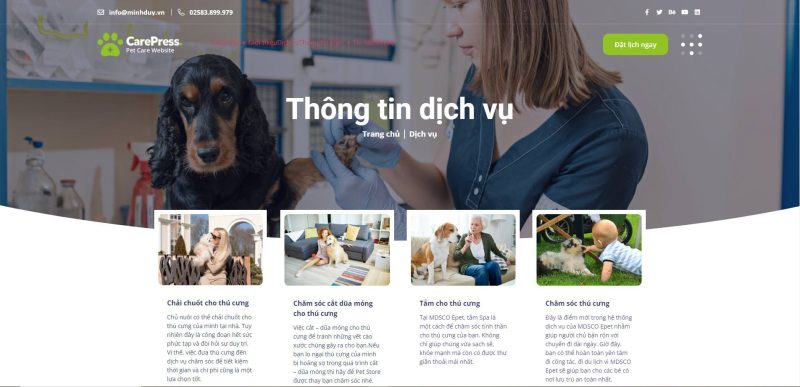 Dịch vụ thiết kế website chăm sóc thú cưng chuyên nghiệp tại Cam Ranh