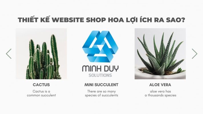Thiet ke website shop hoa loi ich ra sao