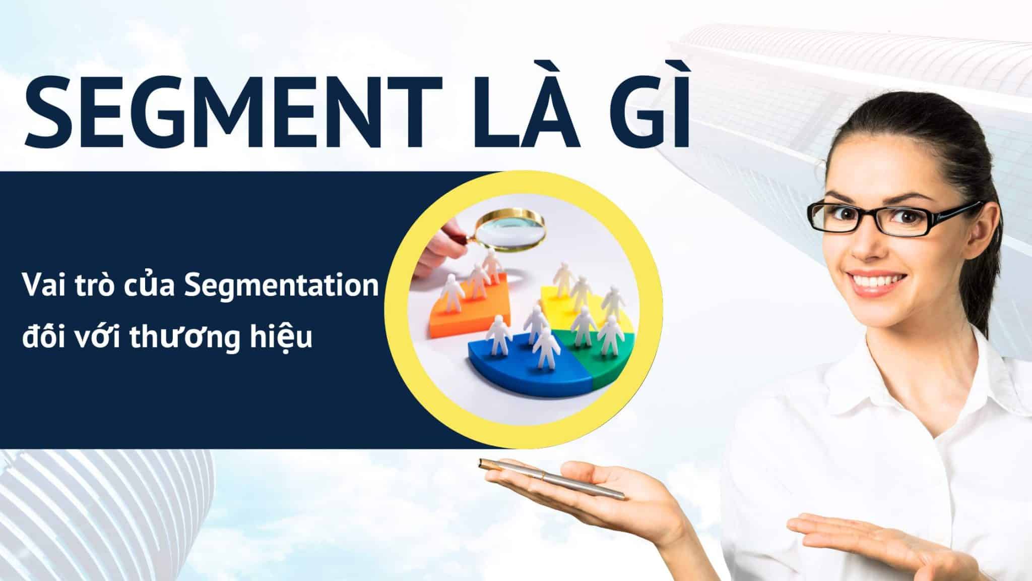 Segment là gì? Vai trò của Segmentation đối với thương hiệu - Minh Duy ...